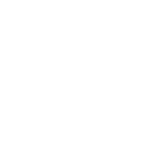 DSO logo