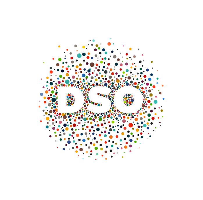 Logo du Cabinet Experts-Comptable DSO